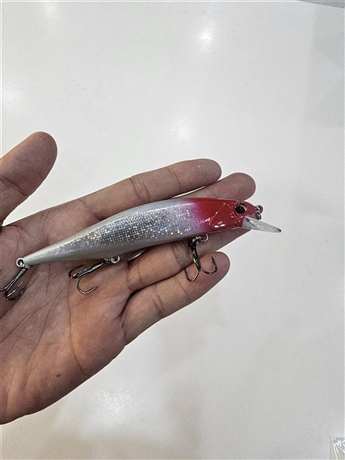 Mồi minnow cho người mới câu chẽm